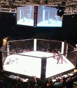 Spiked Punch Entertainment - Live Sports - MMA - getwylde.com