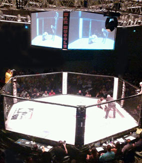 Spiked Punch Entertainment – Live Sports – MMA – getwylde.com