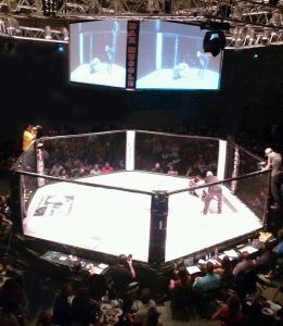 Spiked Punch Entertainment - Live Sports - MMA - getwylde.com