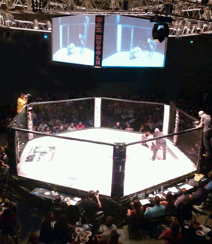 Spiked Punch Entertainment – Live Sports – MMA – getwylde.com